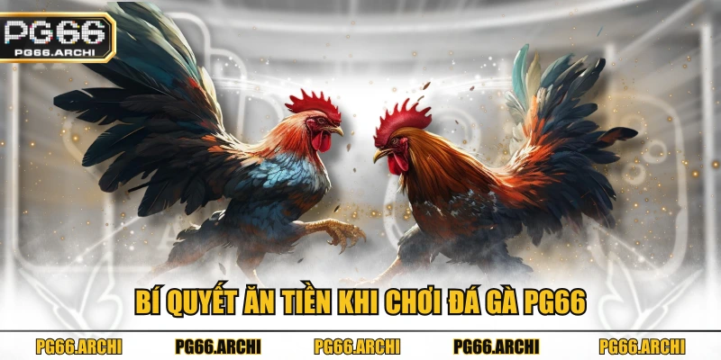 Bí quyết ăn tiền khi chơi Đá gà PG66