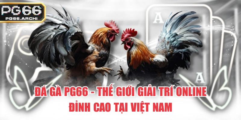 Đá Gà PG66 – Thế Giới Giải Trí Online Đỉnh Cao Tại Việt Nam