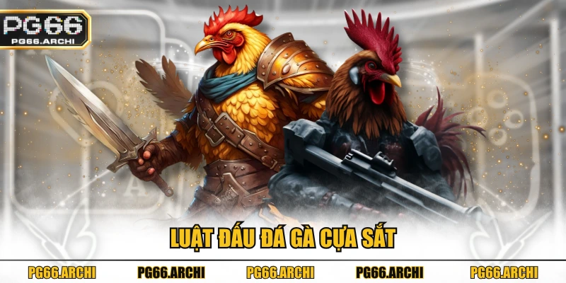 Luật đấu đá gà cựa sắt