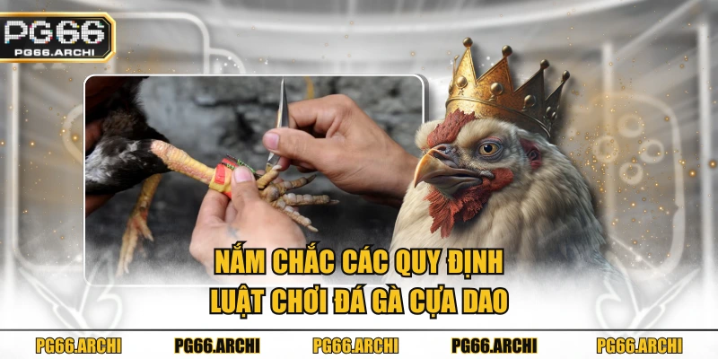 Nắm chắc các quy định, luật chơi đá gà cựa dao